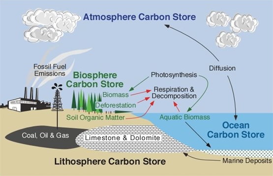 CO₂同位素 (δ¹³C)_上海弘升科技發展有限公司